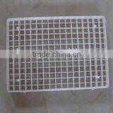 Eggs Tray for Hatching Eggs