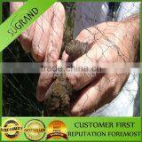 High Quality Factory Produce Anti Bird Net for Fruit Trees thumbnail-2