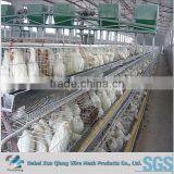 Poultry Farm Galvanized Welded Wire Chicken Cages thumbnail-1