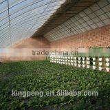 Single-span Hydroponic System PC Sheet Greenhouse thumbnail-1