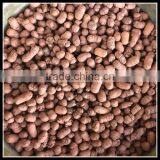 Leca Expanded Clay in Soilless Cultivation Hydro Expanded Clay thumbnail-3