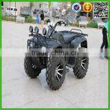 Quad Bike, 250cc Atv, Farm Atv (SHATV-016) thumbnail-1