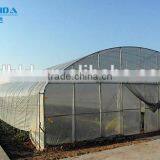 BaoLiDa Cheap Tunnel Greenhouse Agricultural Plastic Film Greenhouse thumbnail-1