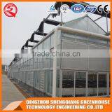Rat Traps Modern Glass Greenhouse With Shading System Made in China thumbnail-2