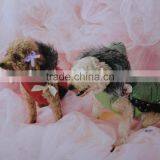 Doggie Wear thumbnail-1