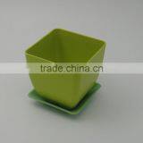 Ecofriendly Biodegaradable Plant Pot thumbnail-4