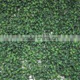 Artificial Hedge Fence Indoor/outdoor Factory UV Protection Artificial Boxwood Mat thumbnail-4