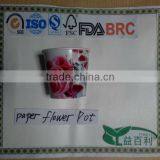 Gift Items,Cheap Paper Pot,Pots With Flower Seeds thumbnail-1