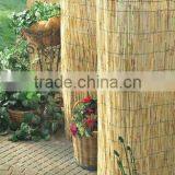 Reed Screening thumbnail-1