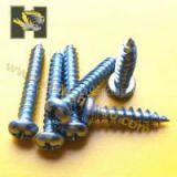 Phillips Pan Head Self Tapping Screw thumbnail-1