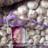 4.5-5cm, 5.5cm-6cm Ajo Blanco Normal Fresco Chino Con Embalaje Cajas de Cartón thumbnail-2