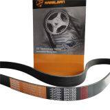 Hot Sale Excavator Belt for Daewoo 8PK1350/8PK1290 Poly v Belt pk Belt Cogged v Belt Industrial v Belt /8PK1180 thumbnail-5