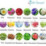 OEM Organic Immortelle Pure Essential Oil Set Quality Choice