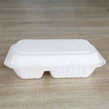 Eco-friendly Biodegradable Disposable Takeaway Lunch Box thumbnail-2