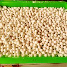 FY-006 Tapioca Taro Round Machine Full Automatic Tapioca Pearls Ball Powder Round Ball Making Forming Machine Tapioka-Perlen-Maschine thumbnail-2