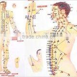 Chinese Medical Acupuncture Charts Points (Front, Side, Reverse Side) thumbnail-3