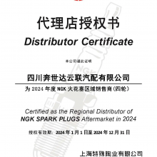 Fast Delivery Original Genuine N G K Spark Plug Nickel Alloy BKR6EYA 2249 Candle Car Engine Spark Plug thumbnail-6