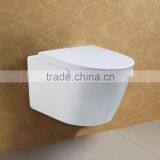 European Style Wash Down P Trap Wall Hung Toilet AT015A thumbnail-2