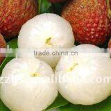 Canned Foodstuff Chinese Canned Lychee in Syrup thumbnail-4