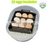 Hot Sale !!! JN12 Chicken Egg Incubator 12 Eggs Poultry Incubator Machine in Guangzhou thumbnail-3