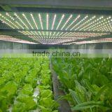 Shenzhen Factory Growing Lights LED 3w LED Grow Light for Growing thumbnail-4