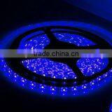 12v 5m 300leds Smd 5050 Led Light Strips Waterproof thumbnail-2