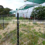 Direct Factory Popular y Shape Steel Post for Sales