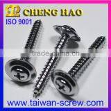 Taiwan Export Products Screws for Wood thumbnail-5