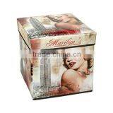 New Style Vintage Cheap Storage Stool Seating Box