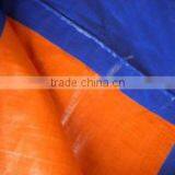 High Tensile Strength Plastic Tarpaulin and Rotproof Tarpaulin Sheet of Plastic Sheet Supplier
