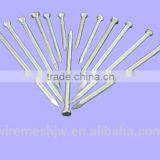 Best Quanlity 1"-7" Polished Common Iron Nails