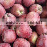 Huaniu Apple thumbnail-5