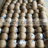 Pyrotechnics Shell Wrapping Machine+taping Machine for 1.5 to 3.0 Inch Shells+fireworks Machine thumbnail-3