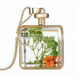 The sweater jewelry for women Plant specimens in Wishing Bottle pendant gold chain necklace