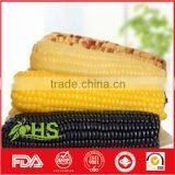 Top Quality Purple Corn for Export thumbnail-4
