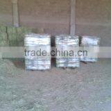 Rhode Grass Hay thumbnail-2