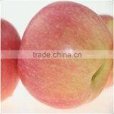 Chinese Red Fuji Apple thumbnail-1
