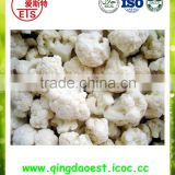 For export market price IQF bulk Frozen Cauliflower