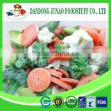 Blended Frozen Bulk Manufacturer Fruits and Vegetables Model