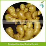 2015 new crop ginger price fresh ginger