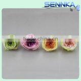 Farm Plant Flower Preserved Green Austi Rose Flowers With Flower Head 4-5cm thumbnail-5
