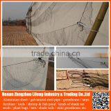 100% Virgin HDPE Anti Bird Netting / pe Protection Net / Plastic Net With uv thumbnail-5