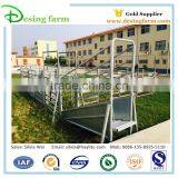 Cattle Load Chute for Livestock Handling Equipment thumbnail-2