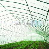 Single Span Solar Greenhouse with Film Cover (ISO9001:2000)