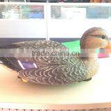 OEM Blow Molding Plastic Hunting Duck Decoy thumbnail-5