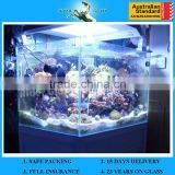 1.3-19mm Aquarium Glass Sheets for Sale With AS/NZS2208:1996 thumbnail-1