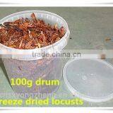 Drum (100g) Freeze Dried Locusts ;Pet Bird Food of Freeze Drying Locusts thumbnail-1