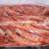 Borealis thumbnail-5