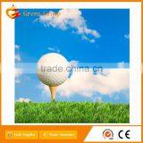 China Hot Sell Customized Golf Ball thumbnail-2