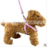 Quality Dog Leash thumbnail-1
